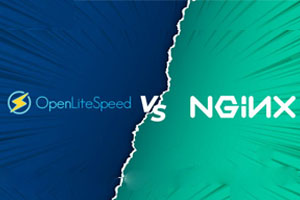 OpenLiteSpeed和Nginx选哪个好